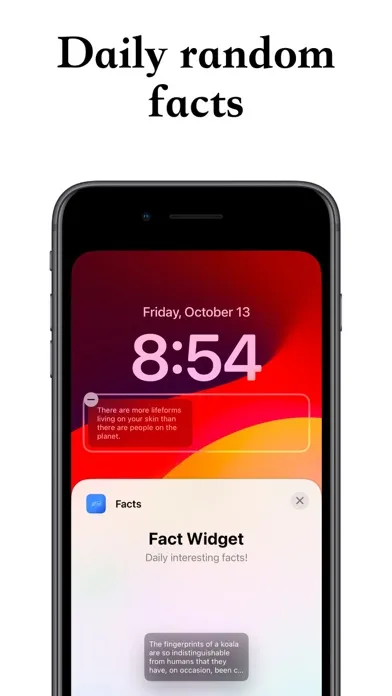 Tangkapan skrin Fact Widget