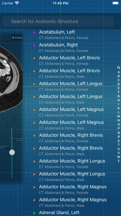 Captures d'écran de X-Anatomy Pro