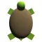 Turtle Robot