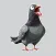 Pigeons Stickers