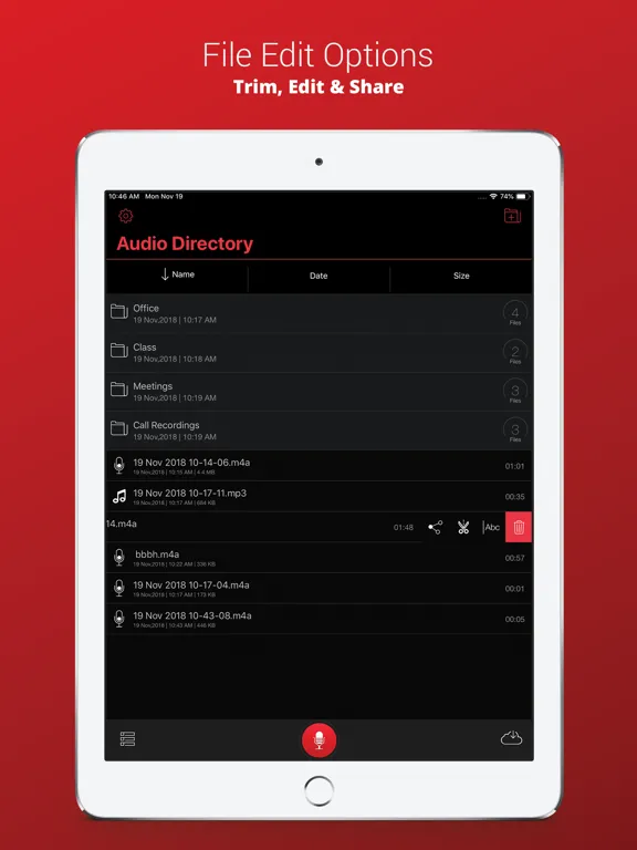Capturas de pantalla de Recorder Plus : Voice Recorder iPad 