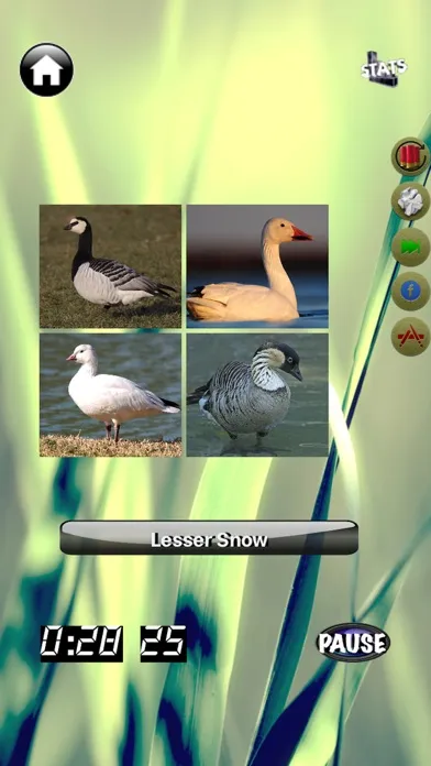 Screenshot di Duck Master: Duck ID Quiz Game