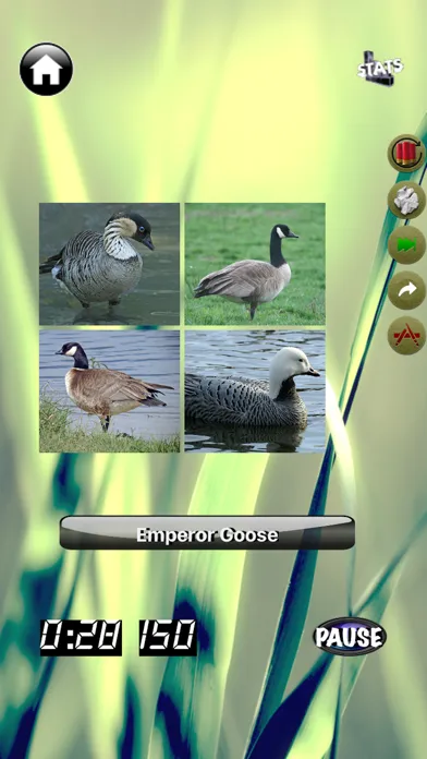 Screenshot di Duck Master: Duck ID Quiz Game