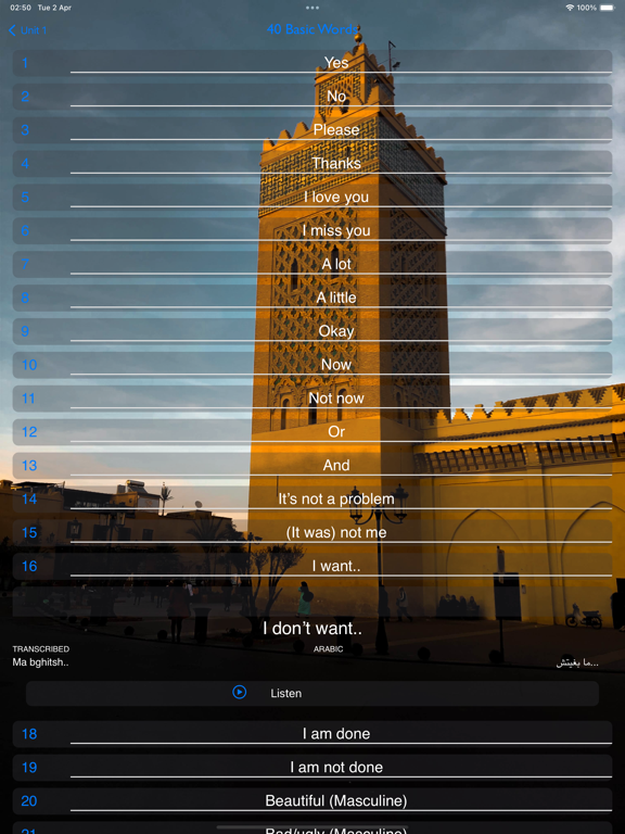 تصاویر Being Moroccan ( Darija ) iPad 