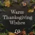 Warm Thanksgiving Wishes