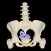myProlapse