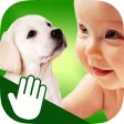 ASL Animals