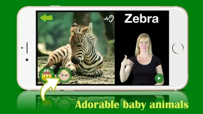 Capturas de tela do ASL Animals - Lite