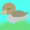 Ugly Duckling Minoto game