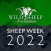 WSF 2022 Sheep Show