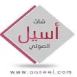 شات اسيل الصوتي