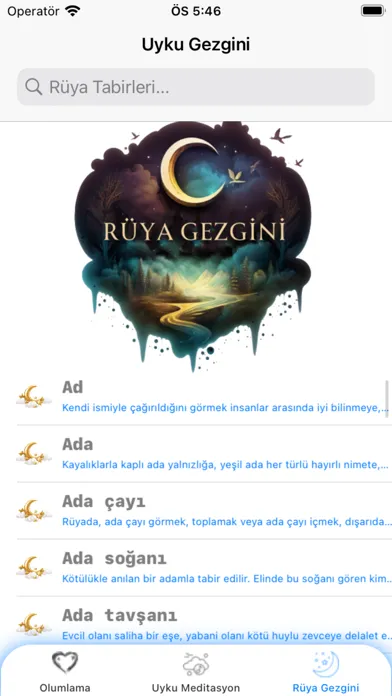 ภาพหน้าจอของ Rüyanın Melodisi