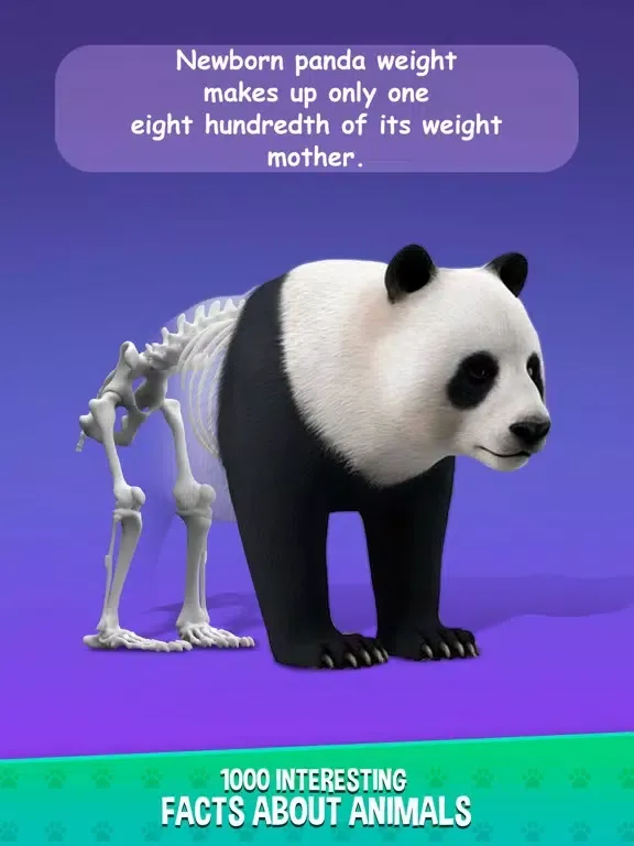 ภาพหน้าจอของ IDLE Animal Anatomy iPad 