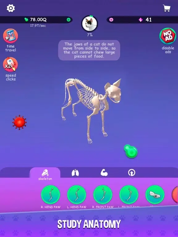 ภาพหน้าจอของ IDLE Animal Anatomy iPad 