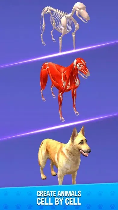 ภาพหน้าจอของ IDLE Animal Anatomy