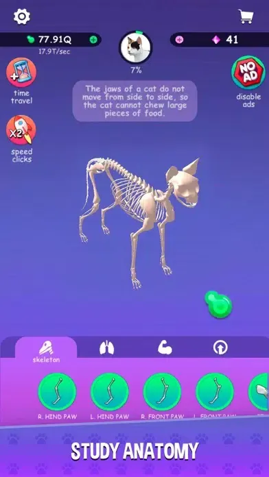 ภาพหน้าจอของ IDLE Animal Anatomy