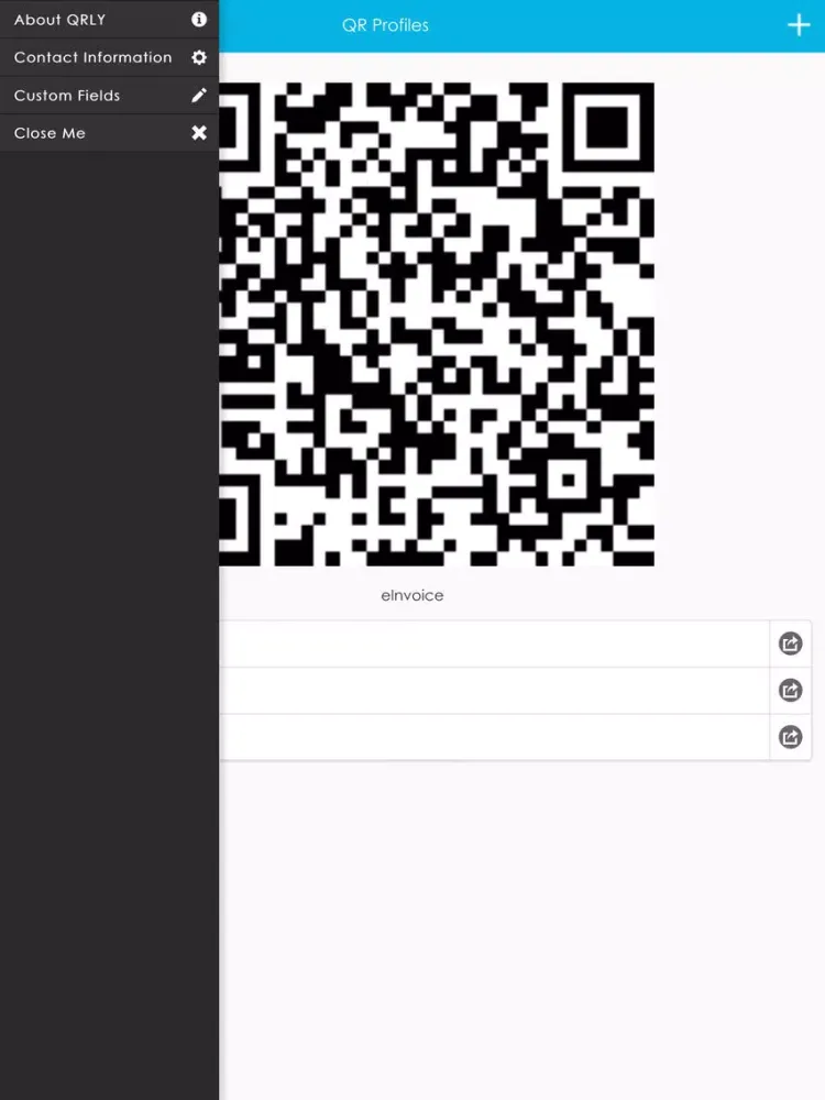 Ảnh chụp màn hình của Qrly iPad 