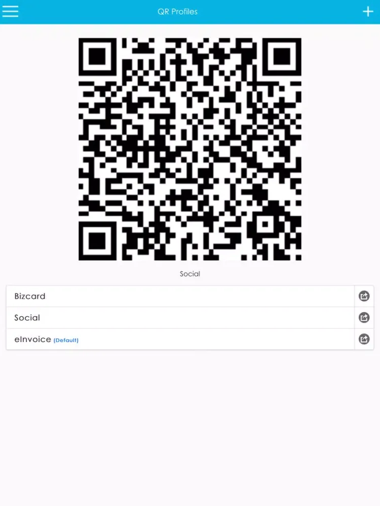 Ảnh chụp màn hình của Qrly iPad 