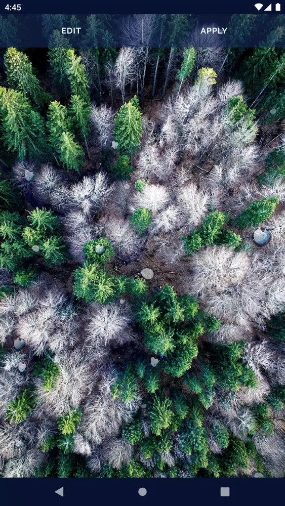 Falling Rain Live Wallpaper Screenshots