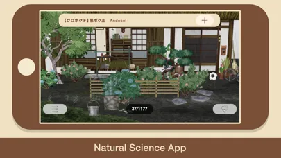 Zrzuty ekranu "SOIL"