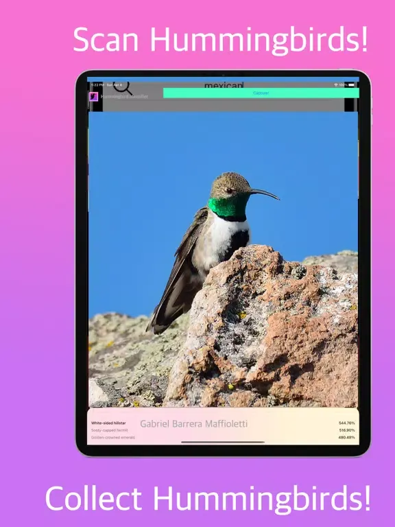 Tangkapan layar Hummingbird Identifier iPad 