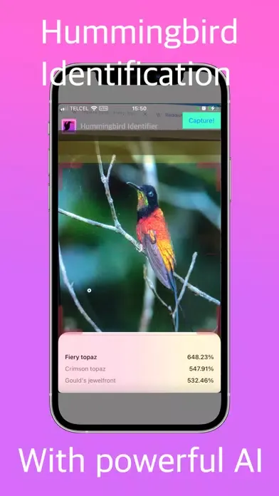 Tangkapan layar Hummingbird Identifier