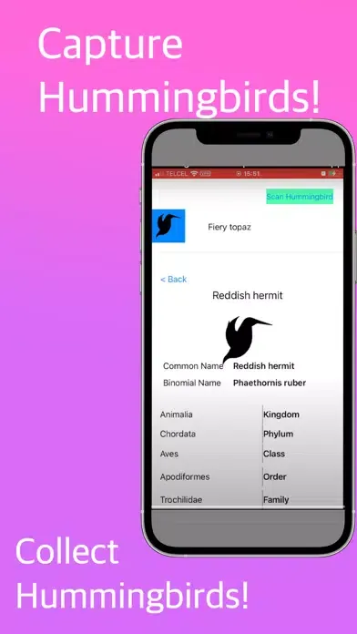Tangkapan layar Hummingbird Identifier