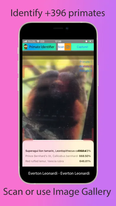 Primate Identifier スクリーンショット