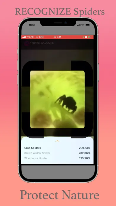 Spider Scanner Screenshots