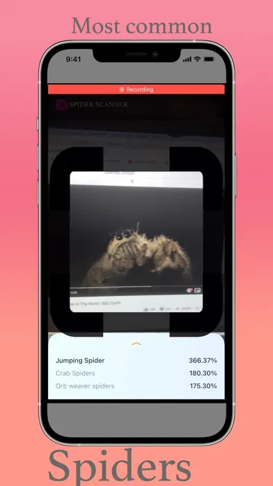 Spider Scanner Screenshots