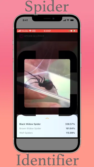 Spider Scanner Screenshots