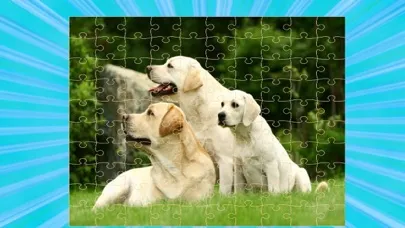 Capturas de tela do Puppy Dog Jigsaw Puzzle