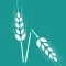 Interpolis Agro Taxatie app