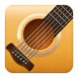 Acoustic Guitar
