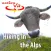 VR Kissed by Cow and Sheep Virtual Reality 360