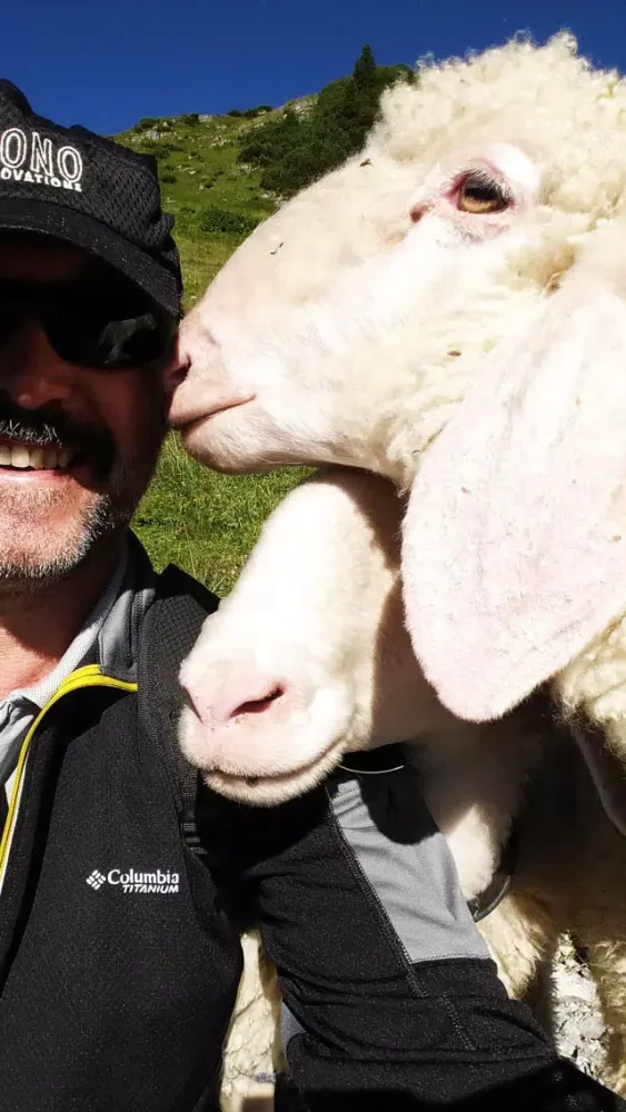VR Kissed by Cow and Sheep Virtual Reality 360應用截圖