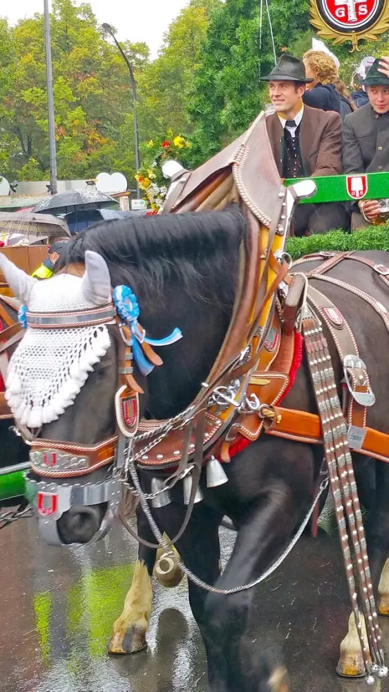 صور VR Oktoberfest Parade Virtual Reality 360