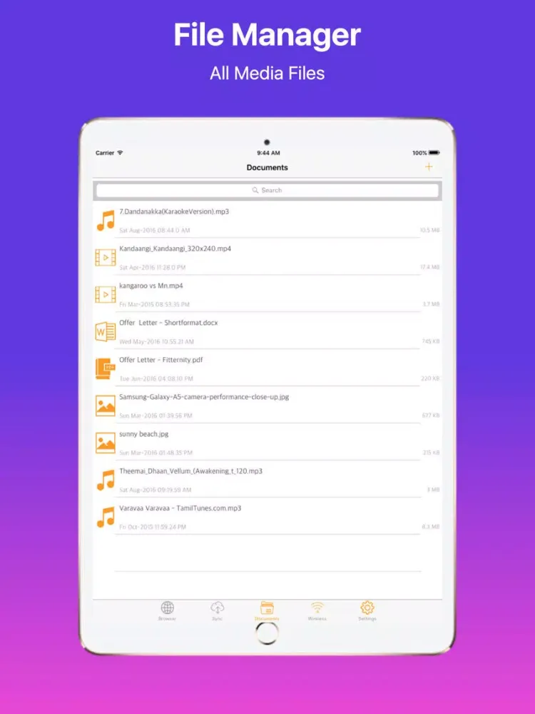 iWeb Browser and File Transfer iPad 應用截圖