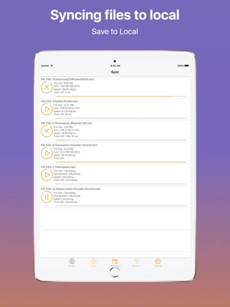 iWeb Browser and File Transfer iPad 應用截圖