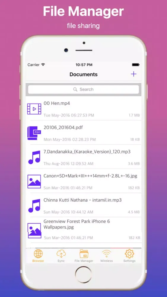 iWeb Browser and File Transfer應用截圖
