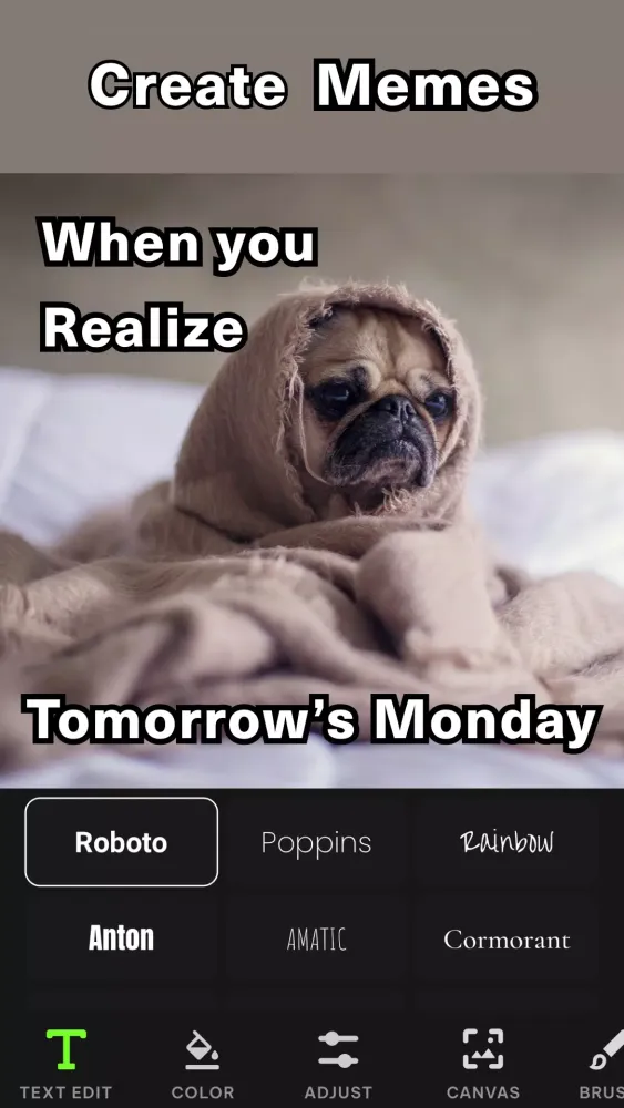 Add text on Photo - TextLab Screenshots
