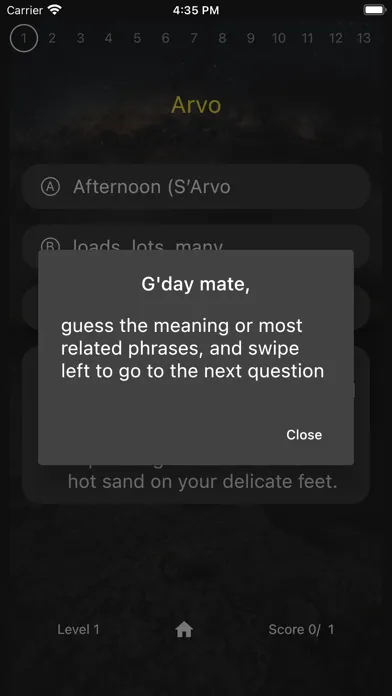 Aussie slang quiz应用截图