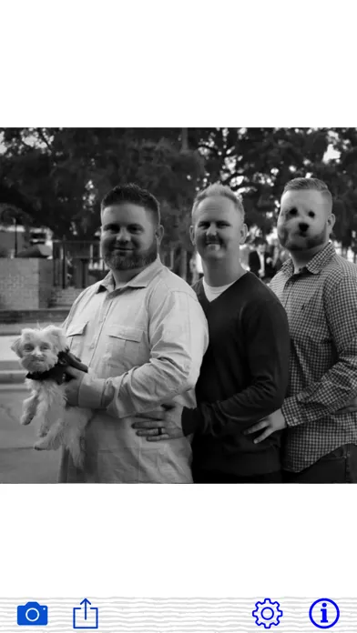 Crazy Face Swap by AlphaPlugin应用截图