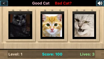 Good Cat Bad Cat Screenshots