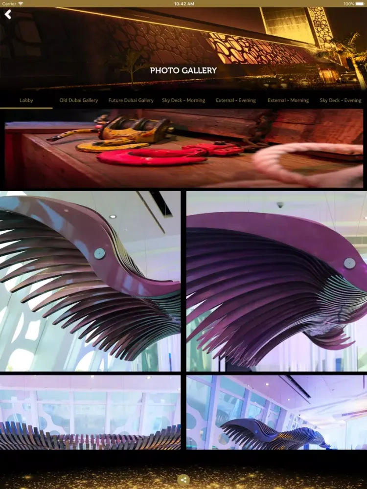 Скриншоты Dubai Frame iPad 