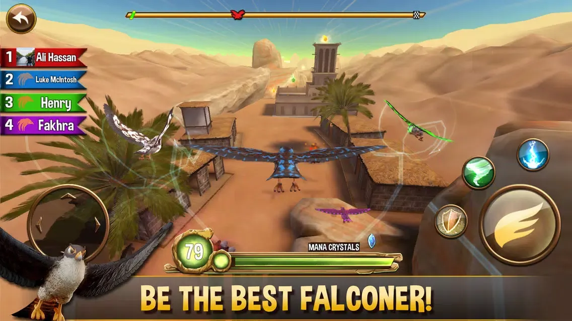 Captures d'écran de Falcon Valley Battle