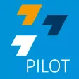DMFV Pilot DMFV Pilot