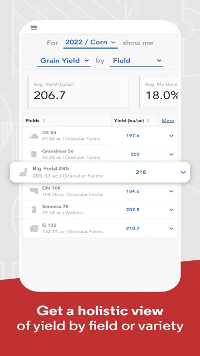 Granular Insights 스크린샷