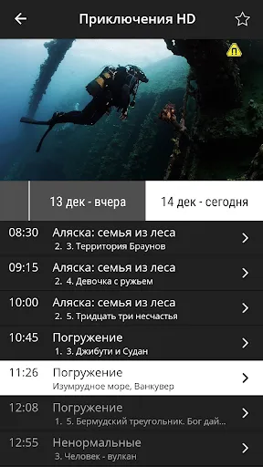 Redcom TV (Приставки и ТВ)应用截图