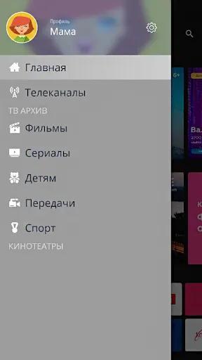 Redcom TV (Приставки и ТВ)应用截图
